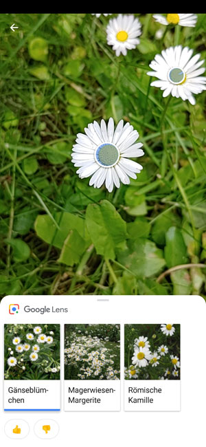 Google Lens beim LG G7